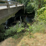 В Орегоне Тракдрайвер выжил после падения лесовоза с моста высотой 20 футов