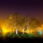 Свето-музыкальное шоу недалеко от дома — «Illumination: Tree Lights в Morton Arboretum» приглашает!