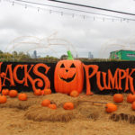 Автомобили посетителей Jack’s Pumpkin Pop-Up Experience на Гусином острове обчищают с завидной регулярностью