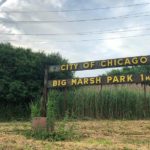 $20 млн. пустят на благоустройство парков Чикаго