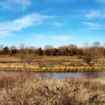 Buffalo Creek Forest Preserve недавно улучшили на сумму 9,6 млн долларов.