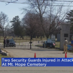 Участники похорон атаковали 2 сотрудников службы безопасности кладбища Mount Hope