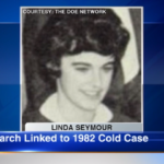 На заднем дворе одного из домов в Northbrook полиция ищет останки женщины, пропавшей в 1982 году