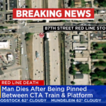 Мужчина скончался, оказавшись зажатым между поездом CTA Red Line и платформой