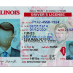 Срок действия водительских прав и ID-карты в Иллинойсе продлен до 2022 года