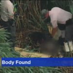Останки скелета, найденного в западном пригороде Беркли, предположительно принадлежат мужчине, пропавшему без вести в ноябре 2020 года