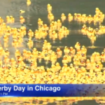 Ducky Derby 2021: заплыв 70000 резиновых утят состоится на реке Чикаго