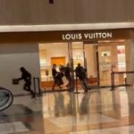 Воры скрылись, украв товар на сумму 66 тысяч долларов из магазина Louis Vuitton в торговом центре Northbrook (видео)