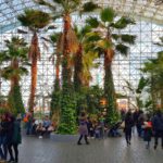 Жители Чикаго борются за сохранение Navy Pier’s Crystal Gardens, одной из немногих крытых зеленых зон в городе