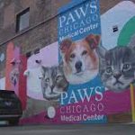 PAWS Chicago перерезает ленточку в честь расширения медицинского учреждения на 9 миллионов долларов