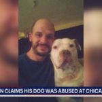 Житель Чикаго утверждает, что его собака подверглась жестокому обращению в Chicago Canine Academy