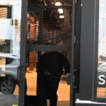 По данным CPD, магазины Burberry и Moose Knuckles в Чикаго пострадали от воров в ходе ограблений ранним утром