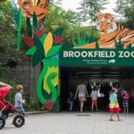 Brookfield Zoo закрыт после “потенциальной угрозы”, все посетители и сотрудники благополучно выведены из него