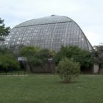 Подросток из Чикаго борется за свою жизнь после удара молнии возле Garfield Park Conservatory