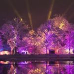 Волшебный пешеходный маршрут «Illumination: Tree Lights» возвращается в ноябре в дендрарий Мортона