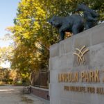 Осенний фестиваль в Lincoln Park Zoo возвращается!