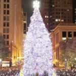 Городские власти начинают выбирать рождественскую ёлку, которую установят в Millennium Park