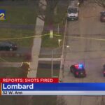 Полицейский ранен, грабитель убит в пригороде Чикаго