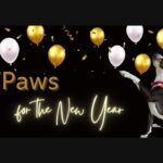 Собачий приют Orphans of the Storm запускает самую добрую новогоднюю программу Paws for the New Year