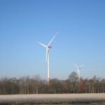 Как появление ветряных электростанций в Иллинойсе влияет на дикую природу штата