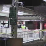 Поезд CTA сбил человека на Yellow Line в Skokie