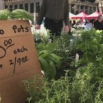 Chicago City Markets открывают новый сезон в Daley Plaza