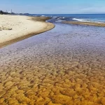 7-летний чикагский мальчик утонул недалеко от Ogden Dunes в штате Индиана