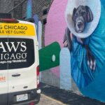 В эти выходные в новом ветеринарном фургоне PAWS Chicago можно бесплатно сделать прививки домашним животным