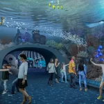 Руководители Shedd Aquarium представили новейшие визуализации и подробности о планах реконструкции в рамках 100-летнего юбилея аквариума