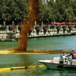 В четверг тысячи резиновых уточек будут плыть по реке Чикаго во время ежегодного Ducky Derby