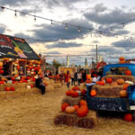 Популярный Jack’s Pumpkin Pop-Up вернется в Чикаго уже в следующем месяце