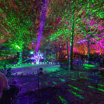 Morton Arboretum объявляет об 11-м возвращении своего популярного светового шоу