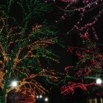 Световое шоу ZooLights возвращается в Lincoln Park Zoo в ноябре этого года