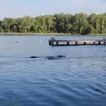 Огромный аллигатор подплыл к находящимся в озере детям в Huntsville State Park, штат Техас