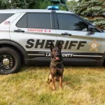 Собака шерифа округа Lake нашла человека, пропавшего из торгового центра недалеко от Deerfield