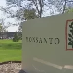 Власти Чикаго подают в суд на Monsanto и обвиняют компанию в загрязнении городских вод