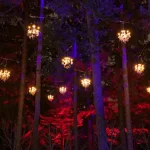 Билеты на Illumination: Tree Lights at the Morton Arboretum поступят в продажу в октябре