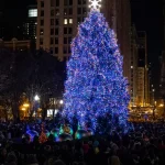 Вот где можно увидеть 5 лучших рождественских елок в Чикаго