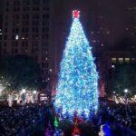Выбрана официальная рождественская елка Чикаго