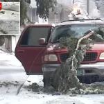 В Орегоне 3 человека скончались от удара током после того, как на их автомобиль упала линия электропередач