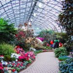 Исследуйте зимний сад Garfield Park Conservatory вместе с детьми