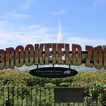 Brookfield Zoo Chicago анонсирует серию летних концертов