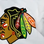 Потомок военного вождя Black Hawk требует, чтобы хоккейная команда Chicago Blackhawks сменила название