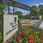 Гайд по посещению дендрария Morton Arboretum всей семьей