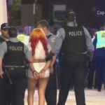 Полиция сообщает о массовых арестах в Lake View после празднования прайда