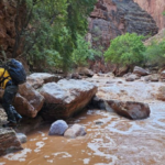 Тело пропавшей в Grand Canyon туристки было найдено после того, как внезапное наводнение вызвало необходимость спасения более 100 человек