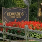 Ферма Edwards Apple Orchard объявила дату открытия на сезон 2024 года