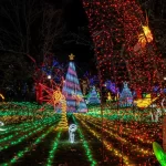 Lincoln Park ZooLights объявляет даты праздничного сезона на 2024 год с новыми развлечениями