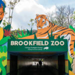 Бесплатные дни в зоопарке Brookfield Zoo Chicago