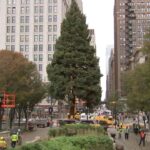 Официальная рождественская елка Чикаго прибыла в Millennium Park